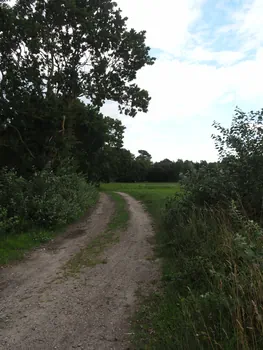 Halshuisene + Enebaerodde Beach (Denemarken)